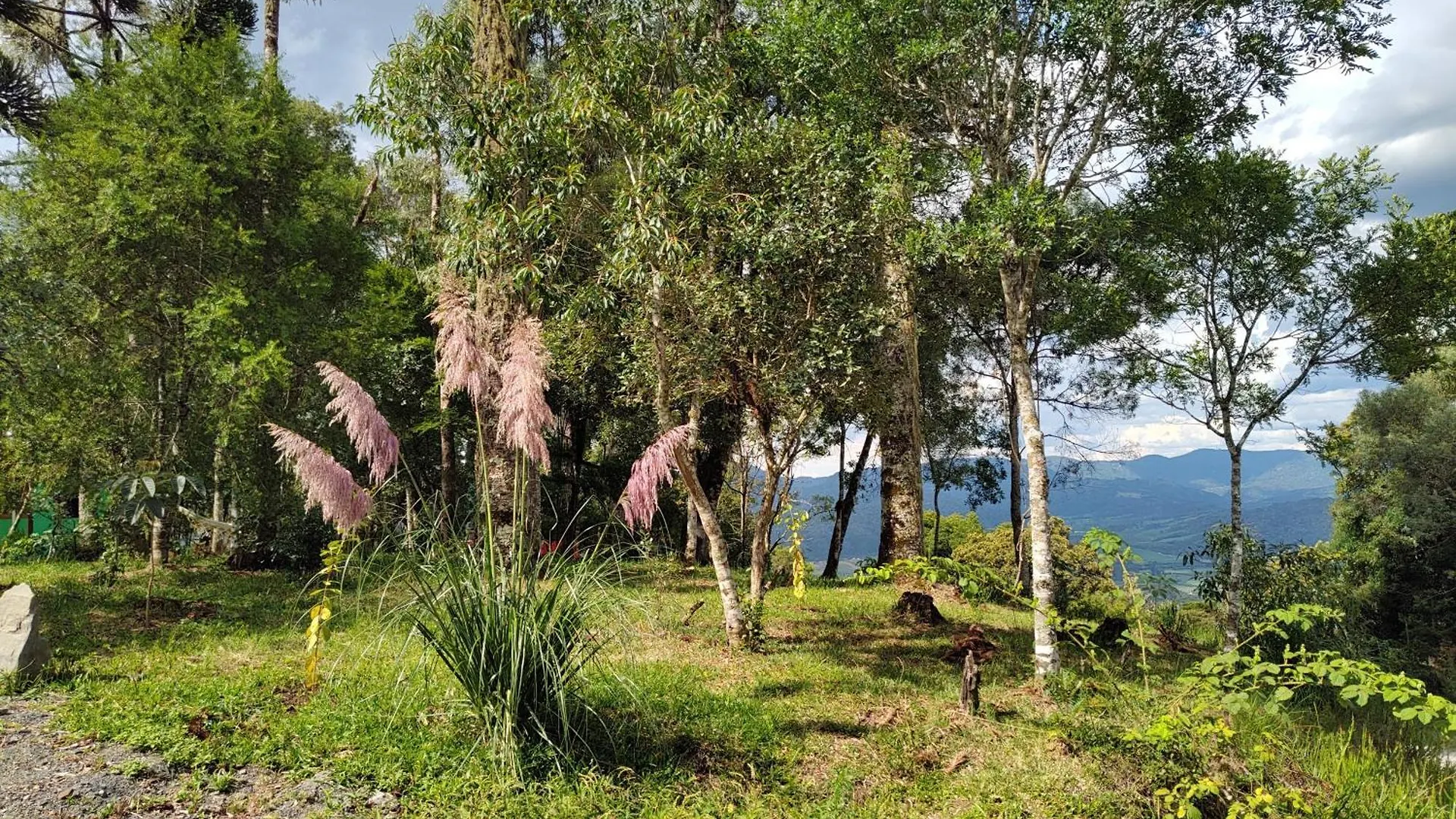 Domek alpejski Chales Morro Azul Urubici Brazylia